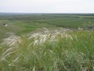 Георгіївка з panoramio.com