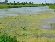 Прислуч з panoramio.com