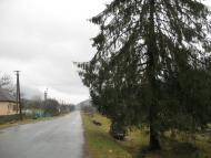 Жденієво з panoramio.com