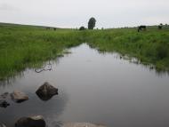 Половинники з panoramio.com