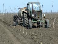 Вознесенка з panoramio.com