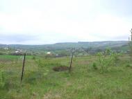 Чижки з panoramio.com