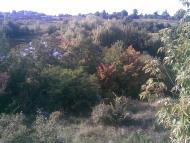 Козятин з panoramio.com - Kozyatyn
