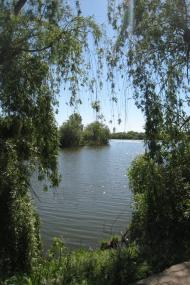 Водяне з panoramio.com