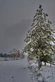 Красне з panoramio.com