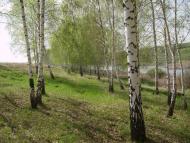 Прелесне з panoramio.com