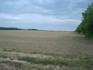 Новий Глібів з panoramio.com