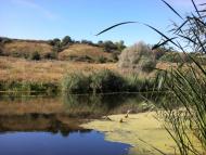 Мілова з panoramio.com