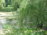 Кут з panoramio.com