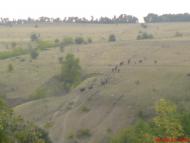 Грабове з panoramio.com