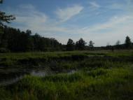 Струмок з panoramio.com