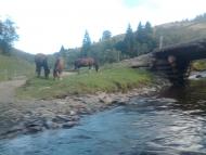 Нижній Яловець з panoramio.com