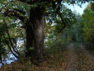 Городище з panoramio.com