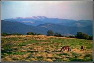 Стригальня з panoramio.com - Strygalnya