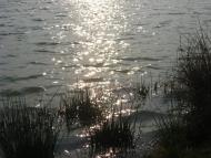 Нанково з panoramio.com