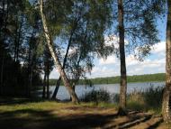 Піски-Річицькі з panoramio.com