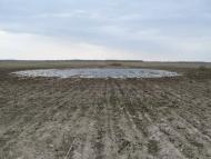 Шабалинів з panoramio.com