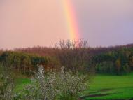 Суворовське з panoramio.com