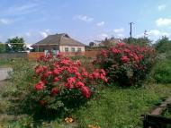 Труд з panoramio.com