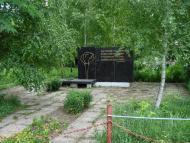 Вороньки з panoramio.com