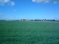 Привільне з panoramio.com