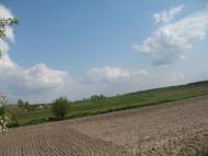 Дружня з panoramio.com