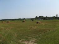 Жари з panoramio.com