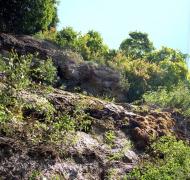 Петрів з panoramio.com