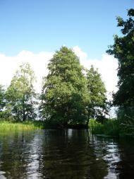 Угриничі з panoramio.com