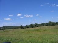 Курган з panoramio.com