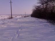 Новоселівка з panoramio.com