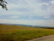 Сирень з panoramio.com