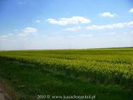 Вільна Україна з panoramio.com