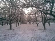 Козятин з panoramio.com - Kozyatyn