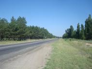 Піщанівка з panoramio.com