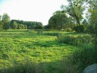 Батьки з panoramio.com