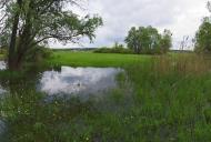 Задонецьке з panoramio.com - Zadonetske