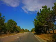 Сирень з panoramio.com