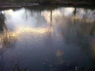 Сторожинець з panoramio.com