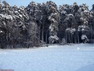Карасиха з panoramio.com