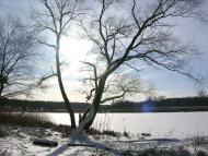 Крейдянка з panoramio.com