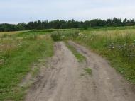 Карпи з panoramio.com