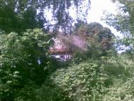 Обиходи з panoramio.com