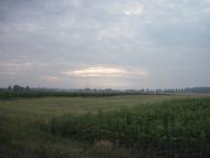 Шевченкове з panoramio.com