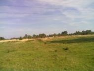 Панчищини з panoramio.com