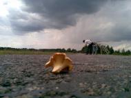 Бирине з panoramio.com