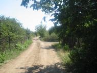 Паліївка з panoramio.com