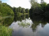 Кулики з panoramio.com