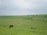 Хмелиська з panoramio.com