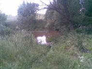 Звеничів з panoramio.com